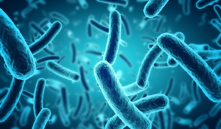 Could probiotic plasmid drink combat antibiotic resistance?-Nutra ingredients.com-2020-01-17