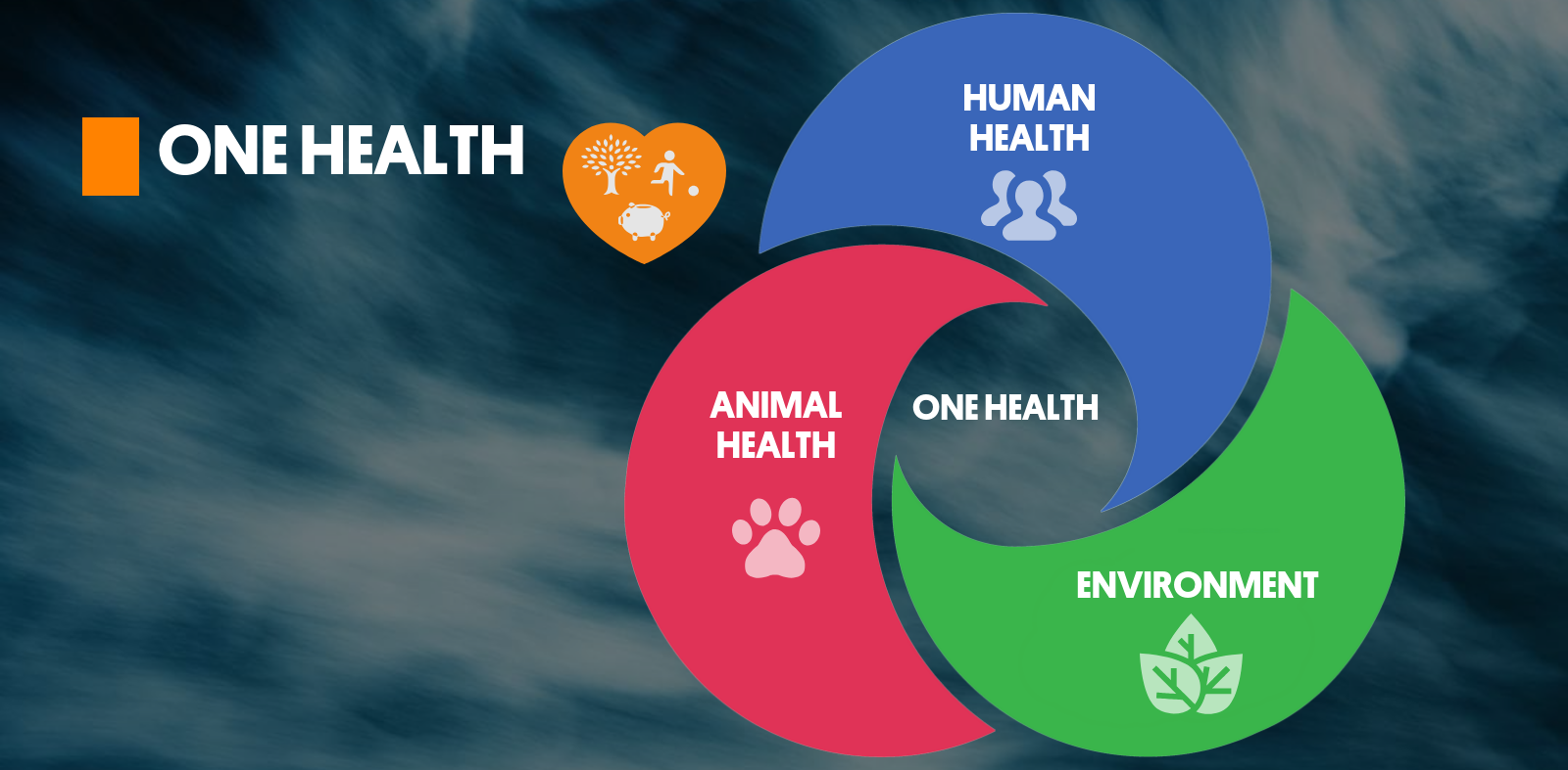 ONE HEALTH DEFINITION | Tripartite and UNEP support OHHLEP’s definition of “One Health” | 1 December 2021|